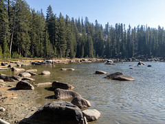 Yosemite National Park Road Trip
