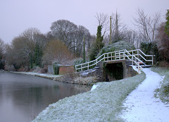 Icy down by the canal