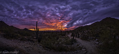 Desert Sunset - 20210118_1180428-Pano [explore 20210121]