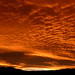 Sunset over Picton, Marlborough Sounds