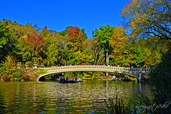 Beautiful Bow Bridge & The Lake Central Park Manhattan New York City NY P00784 DSC_1393