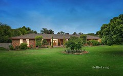 8-12 Williams Road, Park Orchards VIC