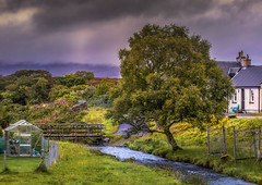 Afternoon in the Scottish Countryside (Explored)