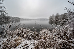 A cloudy winter day at the Dechsendorfer Weiher - 9468