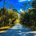 The Martin Grade Florida Scenic Route II (Color Version)