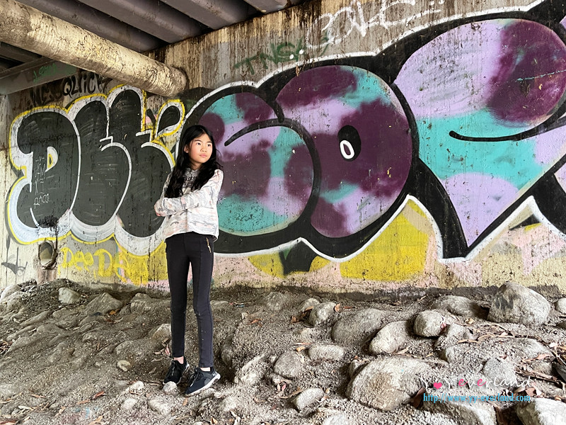 art wall at Schabarum Regional Park