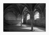 3707 Ancienne abbaye de l'toile,  Archigny (Vienne)