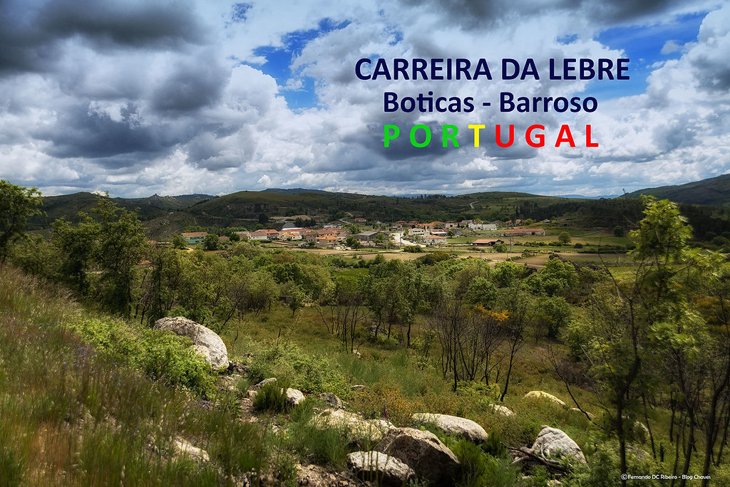 1600-carreira-lebre (274)