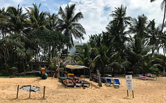 Narigama-Beach-Hikkaduwa-Sri-Lanka-iphone-4909