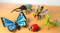 LEGO Insect Collection (new LEGO Ideas project!)