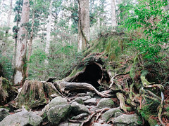 Shiratani Unsuikyo Ravine