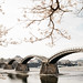 Kintai_bridge_by_samanthalook.jpg