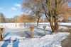 20210212_151906_Golfban in de sneeuw • <a style="font-size:0.8em;" href="http://www.flickr.com/photos/22712501@N04/50936190628/" target="_blank">View on Flickr</a>