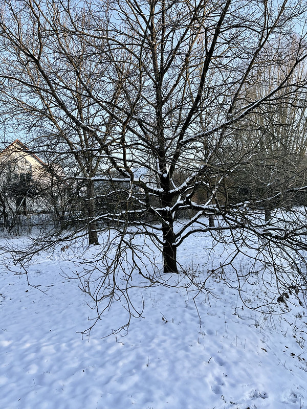 Winterspaziergang<br/>© <a href="https://flickr.com/people/77428038@N00" target="_blank" rel="nofollow">77428038@N00</a> (<a href="https://flickr.com/photo.gne?id=50943478548" target="_blank" rel="nofollow">Flickr</a>)