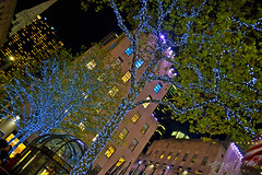 Twinkling Trees in Rockefeller Center Midtown Manhattan New York City NY P00804 DSC_9916