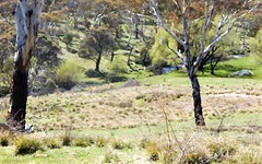 Lot 22 Bugtown Road, Adaminaby NSW