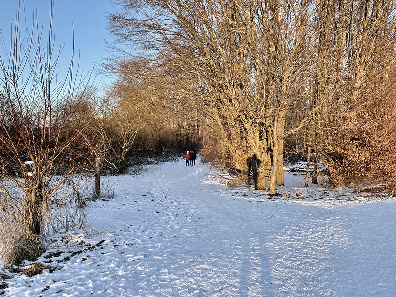 Winterspaziergang<br/>© <a href="https://flickr.com/people/77428038@N00" target="_blank" rel="nofollow">77428038@N00</a> (<a href="https://flickr.com/photo.gne?id=50953615473" target="_blank" rel="nofollow">Flickr</a>)
