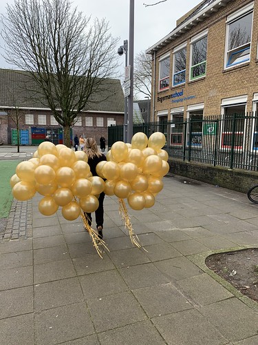Heliumballonnen Bogermanschool Rotterdam