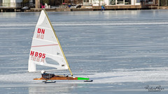 Ice sailing Lelystad