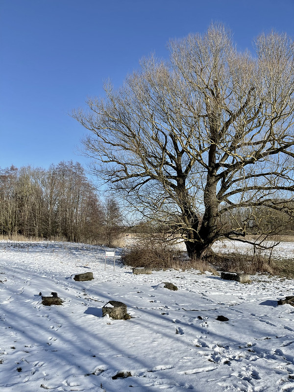 Winterspaziergang<br/>© <a href="https://flickr.com/people/77428038@N00" target="_blank" rel="nofollow">77428038@N00</a> (<a href="https://flickr.com/photo.gne?id=50967582287" target="_blank" rel="nofollow">Flickr</a>)