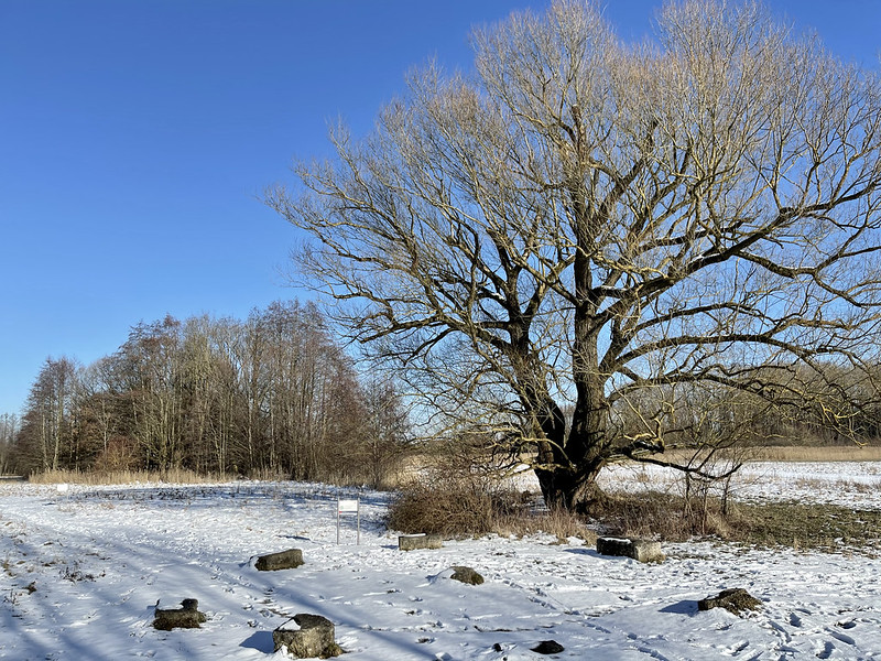 Winterspaziergang<br/>© <a href="https://flickr.com/people/77428038@N00" target="_blank" rel="nofollow">77428038@N00</a> (<a href="https://flickr.com/photo.gne?id=50971065102" target="_blank" rel="nofollow">Flickr</a>)