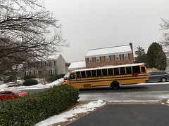 2021 53/365 2/22/2021 MONDAY - School bus!