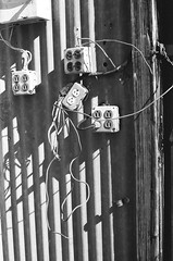 Need an electrician Leica iiif Elmar 50 f3.5 Kodak TriX