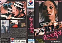 Seoul Korea vintage VHS cover art for Mai Zetterling cult classic 