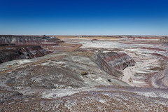 Keep Moving Forward to Explore (Petrified Forest National Park)