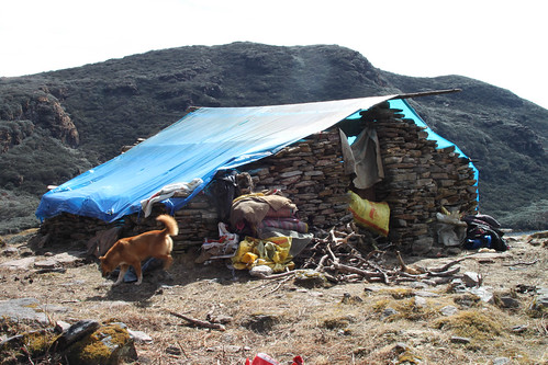 Yak herder's hut