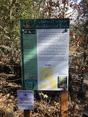 Enchanted Forest & Felton Memorial Trails