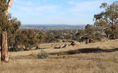 Lot 130, 1488 Mutton Falls Road, O'Connell NSW