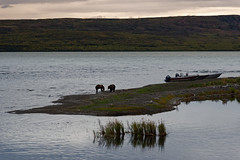 Any Excuse to Visit Katmai National Park