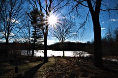 Crescent Lake Sunstar
