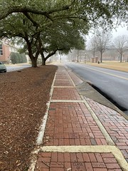 Sidewalk on Campus