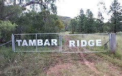 100 High, Tambar Springs NSW
