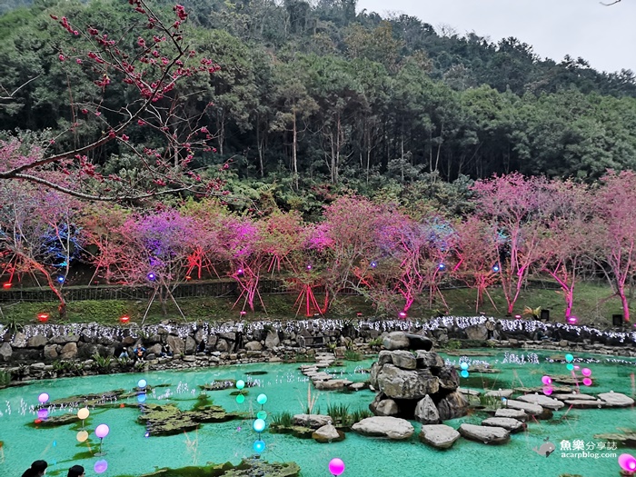 【南投旅遊】2021九族文化村櫻花祭｜交通 路線規劃 攻略 最新花況 @魚樂分享誌