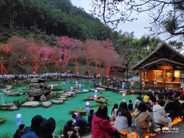 【南投旅遊】2021九族文化村櫻花祭｜交通 路線規劃 攻略 最新花況 @魚樂分享誌