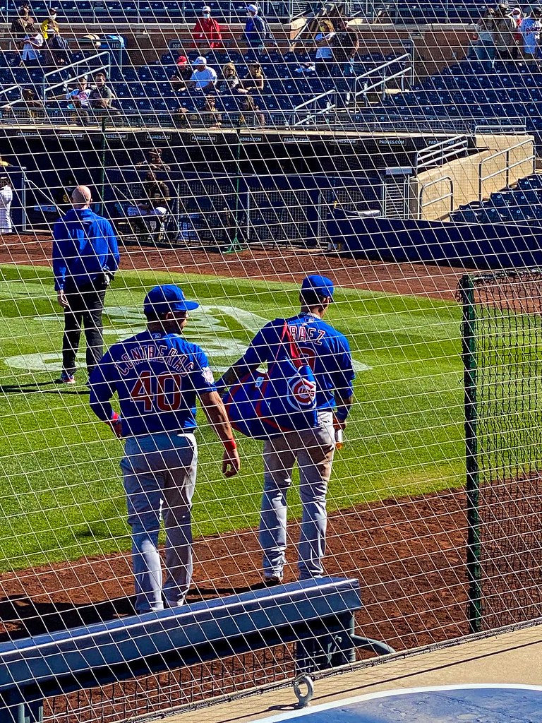 Cubs Baseball Photo of spring and training