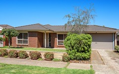 17 Bluebell Drive, Epping VIC
