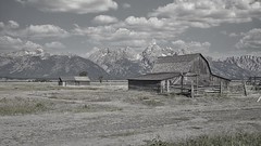 Mormón road barns. Jackson Hole, WY