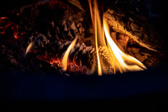 Evening Fire