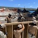 Seabees assigned to NMCB-4 install formwork alongside rebar in preparation for the mooring bollard concrete placement at the Tinian. Harbor.