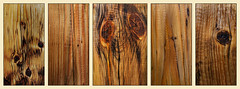 wood grain and knots