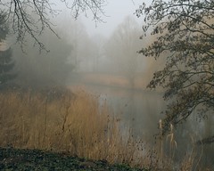 Fog Series III