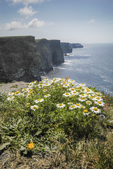 Cliffs of Moher I