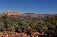 Wide Open Spaces in Coconino National Forest