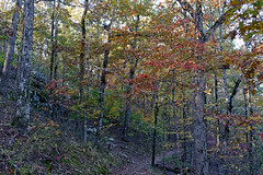 Colors of Autumn in Trees Along the West Mountain Trail (Hot Springs National Park)