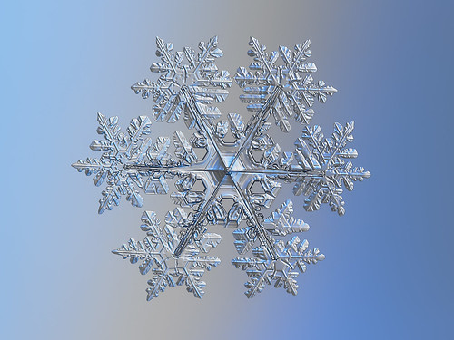 Real snowflake