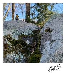 Mountain hiking (096/365)